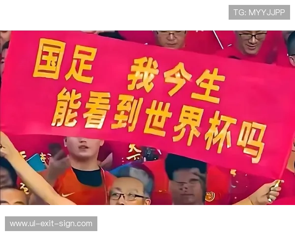 国足世界杯粉丝互动：如何通过社交平台支持中国足球的未来发展